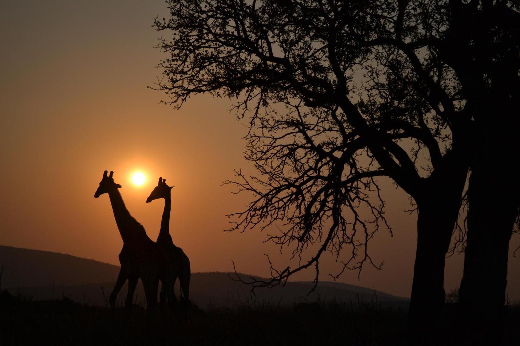 Leopard Mountain Safari Lodge Manyoni Private Game Reserve Exterior photo