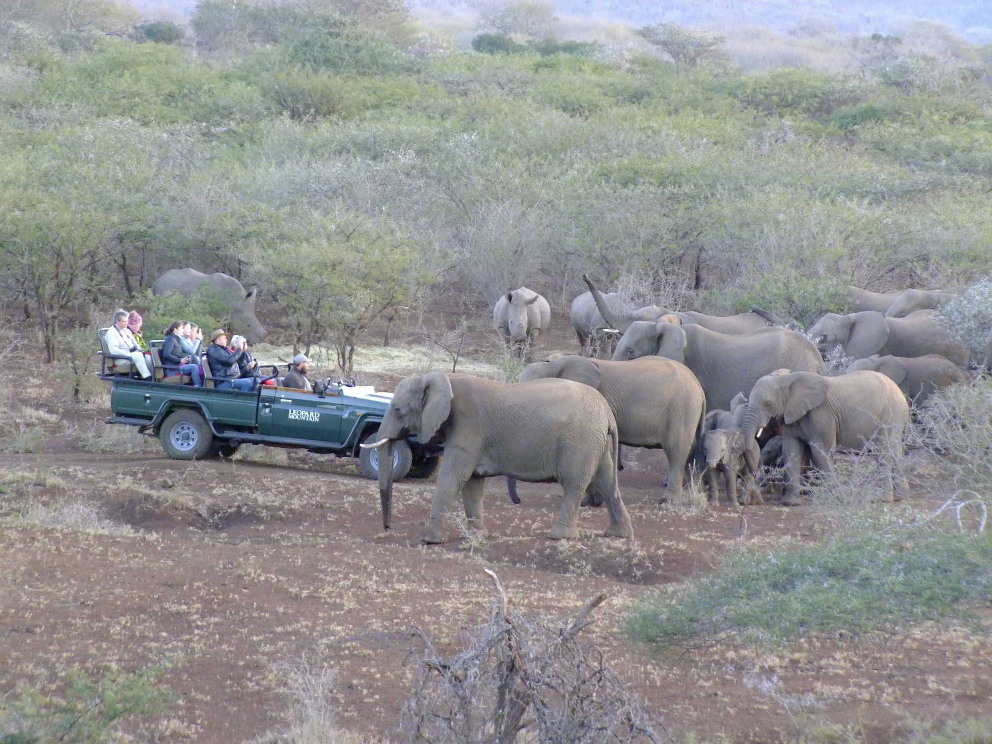 Leopard Mountain Safari Lodge Manyoni Private Game Reserve Exterior photo